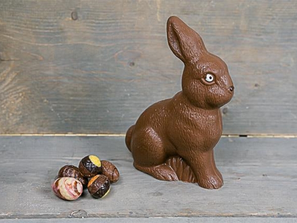 Paashaas zittend groot