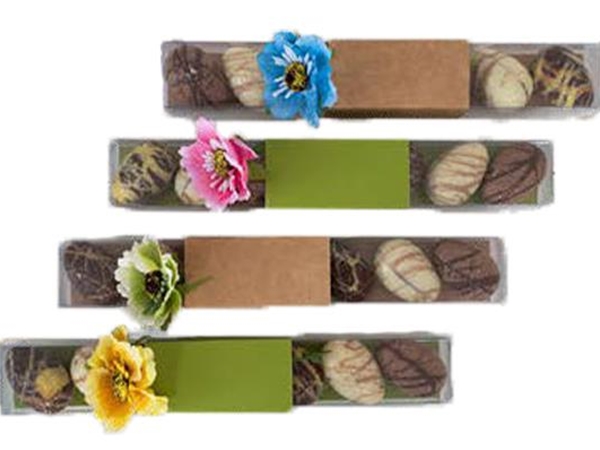 Koker met bb eitjes 20 cm